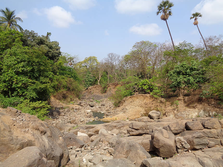 Mithi-River-17km-riverine-ecosystem-3.JPG