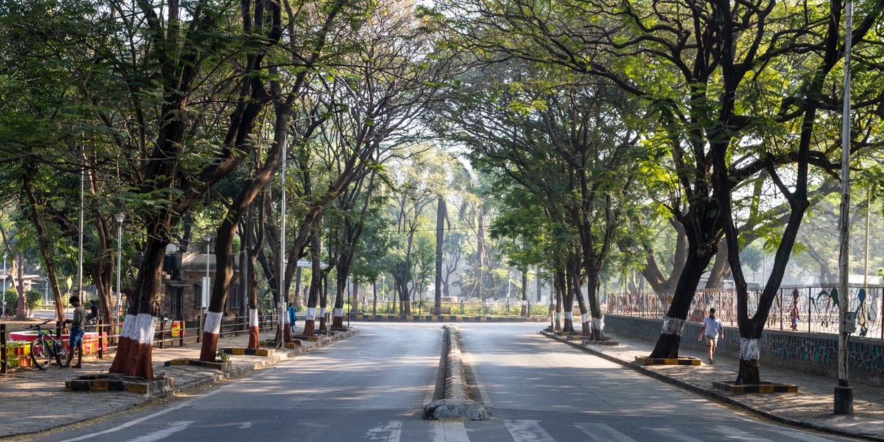 A tree-lined avenue in Mumbai’s Dadar neighborhood. Photo by Aaran Patel